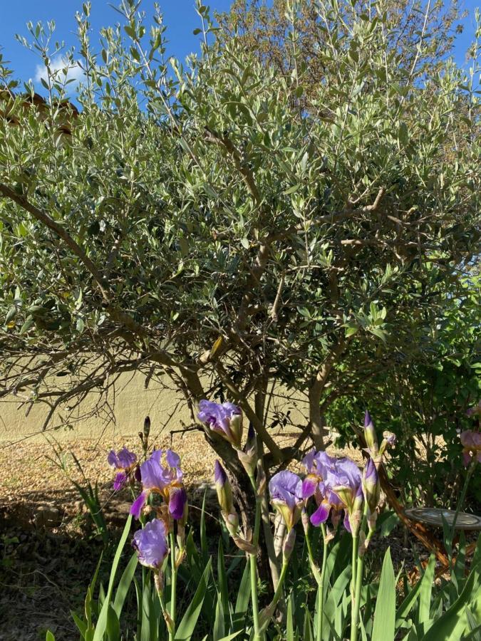L'Eveil En Provence Bed & Breakfast Entrecasteaux Exterior foto